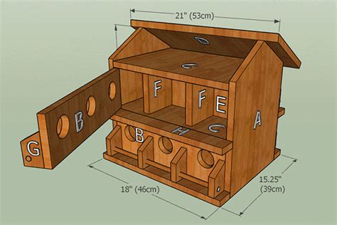 purple martin swallow house plans